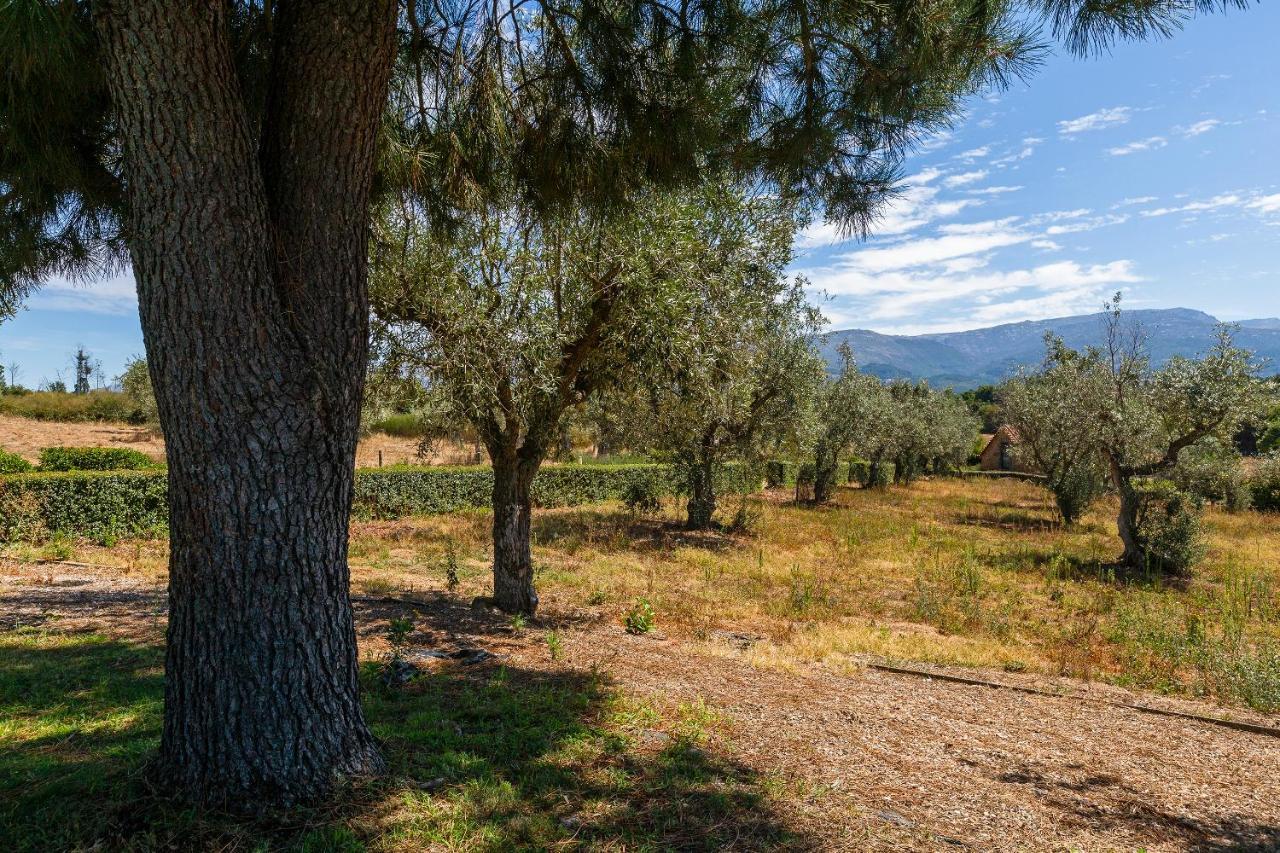 Quinta Do Chao Da Vinha Villa Carragozela Buitenkant foto