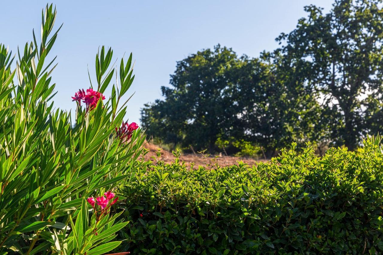 Quinta Do Chao Da Vinha Villa Carragozela Buitenkant foto