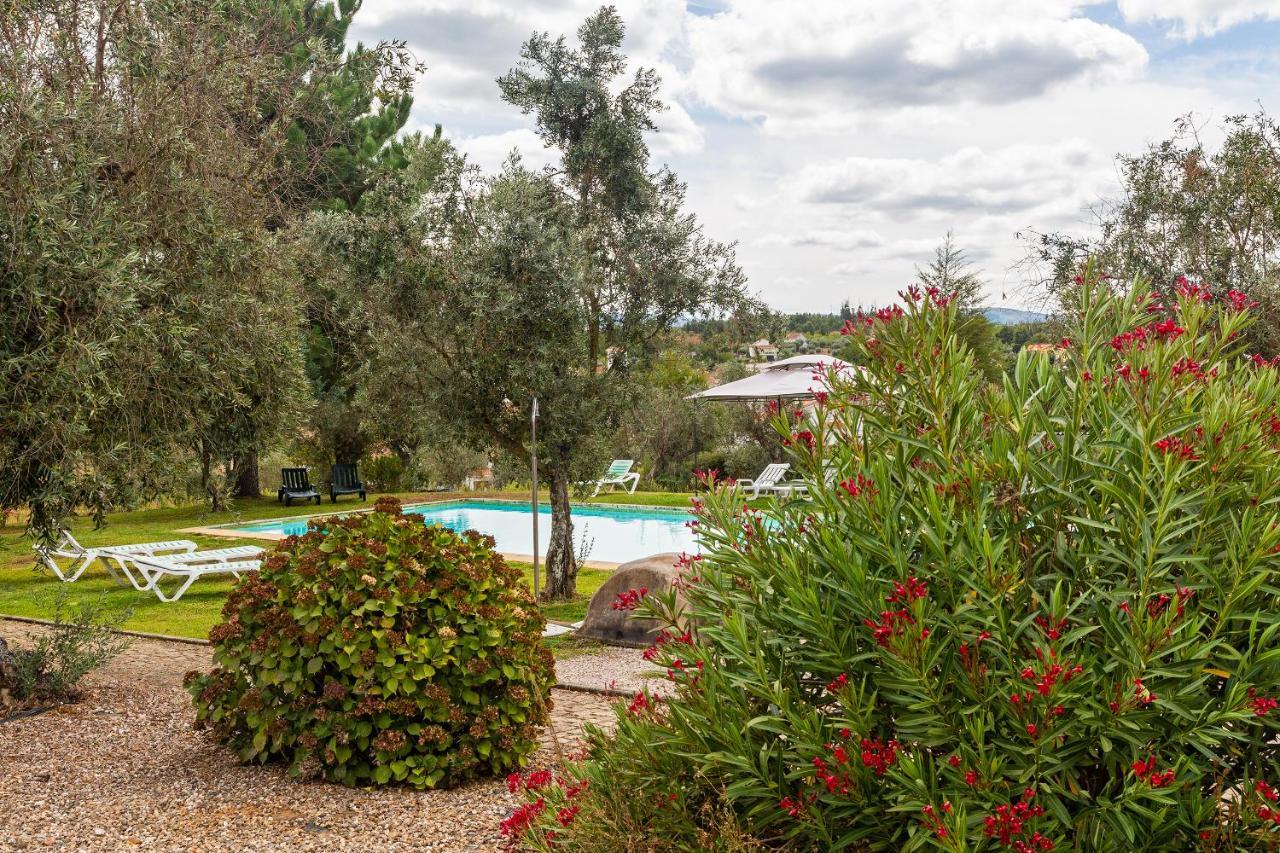 Quinta Do Chao Da Vinha Villa Carragozela Buitenkant foto