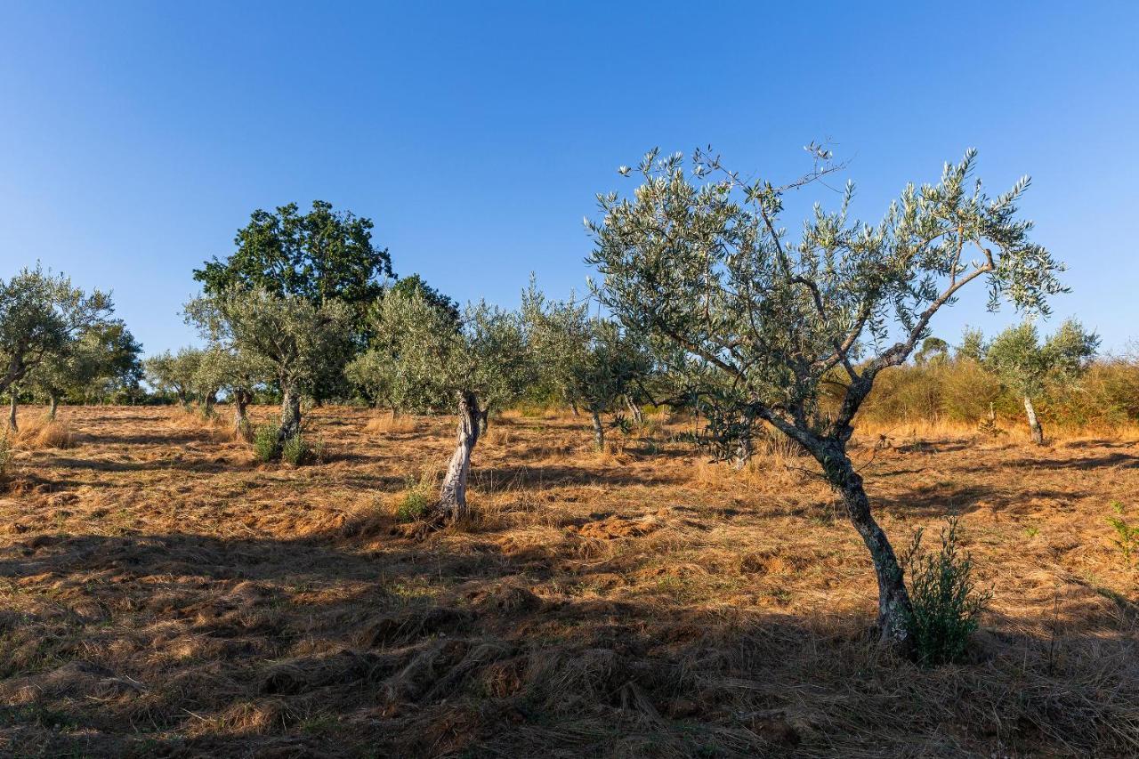 Quinta Do Chao Da Vinha Villa Carragozela Buitenkant foto