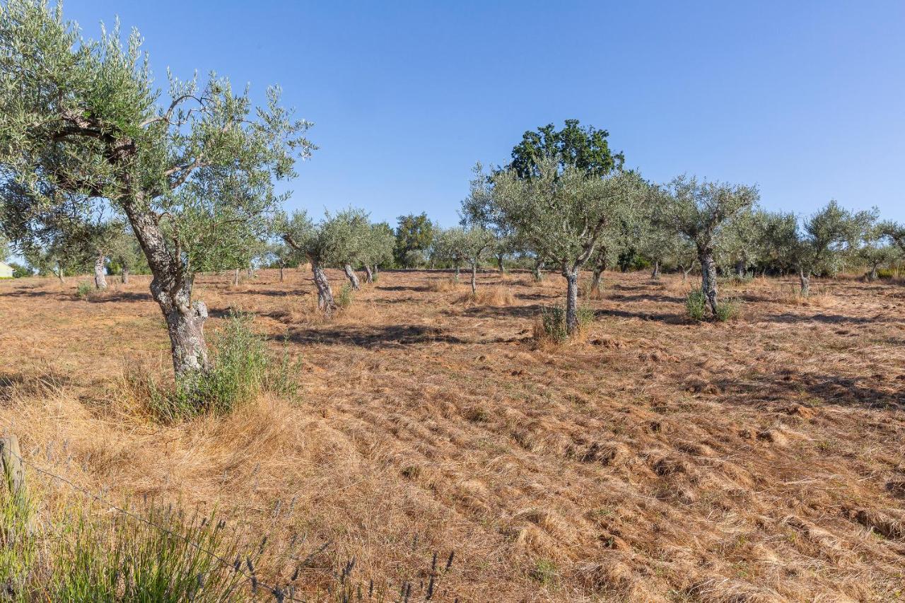 Quinta Do Chao Da Vinha Villa Carragozela Buitenkant foto