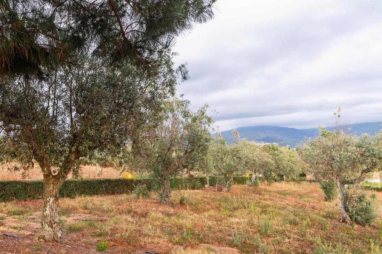 Quinta Do Chao Da Vinha Villa Carragozela Buitenkant foto